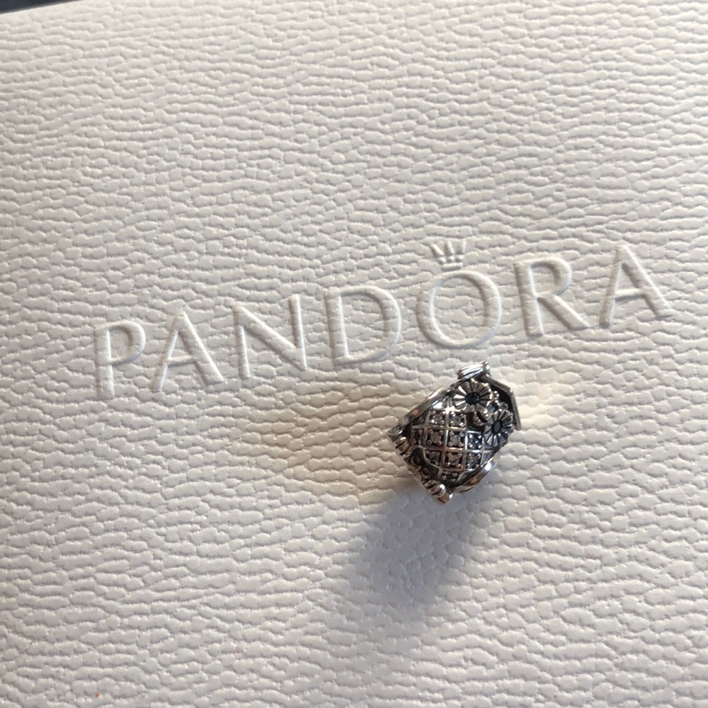 Owl graduation pandora charm